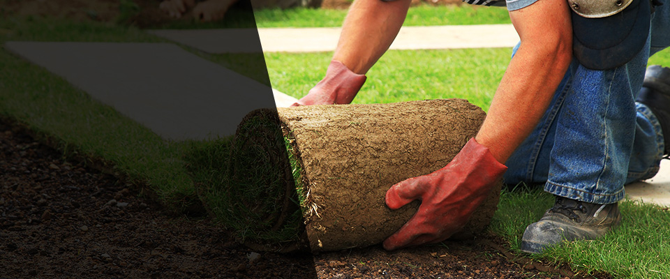 Taylorsville Landscapers